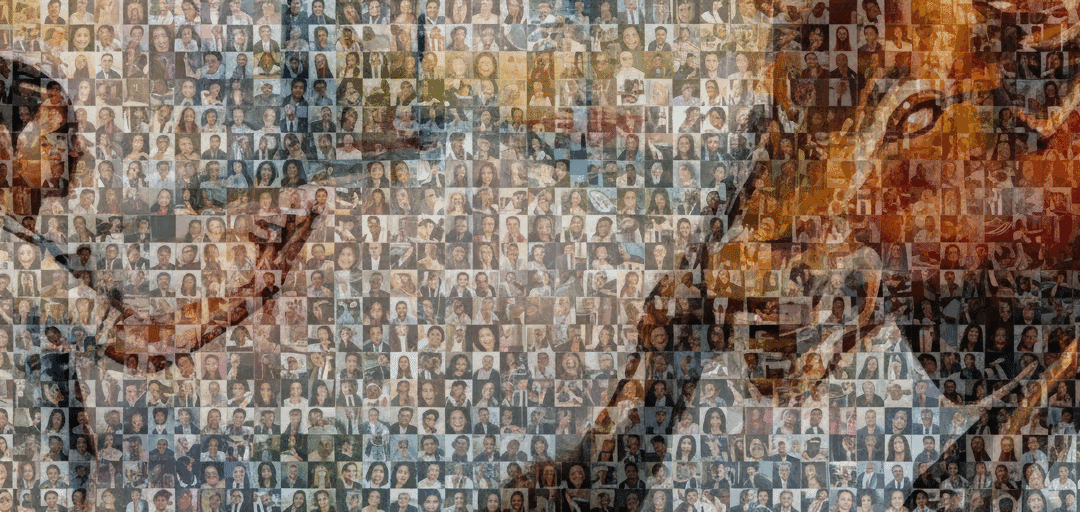 2016 — 20TH ANNIVERSARY & RECOGNITION